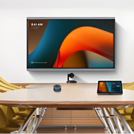 Large MTR Room Type